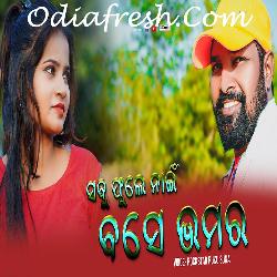 Sabu Phule Naibase Bhamara